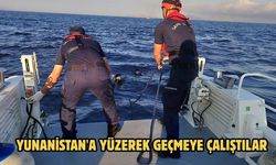 Yunanistan'a yüzerek geçmeye çalıştılar