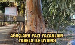 Ağaçlara yazı yazanları tabela ile uyardı
