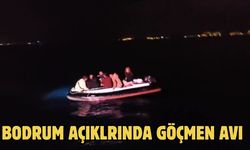 BODRUM AÇIKLRINDA GÖÇMEN AVI