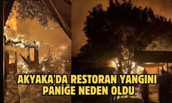 Akyaka'da restoran yangını paniğe neden oldu