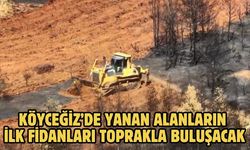 Köyceğiz’de yanan alanların ilk fidanları toprakla buluşacak