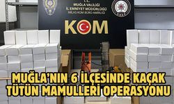 Muğla’nın 6 ilçesinde kaçak tütün mamulleri operasyonu
