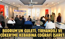 Bodrum'un guleti, tirhandili ve çökertme kebabına coğrafi işaret