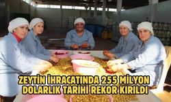 Zeytin ihracatında 255 milyon dolarlık tarihi rekor kırıldı