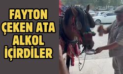 Fayton çeken ata alkol içirdiler