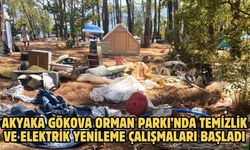 Akyaka Gökova Orman Parkı’nda Temizlik ve Elektrik Yenileme Çalışmaları Başladı