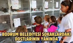 BODRUM BELEDİYESİ SOKAKLARDAKİ DOSTLARININ YANINDA