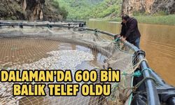 Dalaman’da 600 bin balık telef oldu
