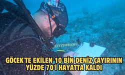Göcek'te ekilen 10 bin deniz çayırının yüzde 70'i hayatta kaldı