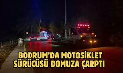 Bodrum’da Motosiklet Sürücüsü Domuza Çarptı