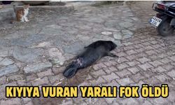 KIYIYA VURAN YARALI FOK ÖLDÜ