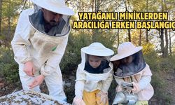 Yatağanlı miniklerden aracılığa erken başlangıç
