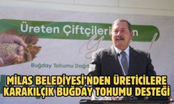 MİLAS BELEDİYESİ’NDEN ÜRETİCİLERE KARAKILÇIK BUĞDAY TOHUMU DESTEĞİ