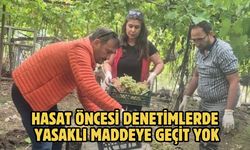 Hasat öncesi denetimlerde yasaklı maddeye geçit yok