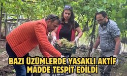 Bazı üzümlerde yasaklı aktif madde tespit edildi