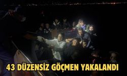 43 düzensiz göçmen yakalandı