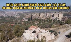 Beçin Antik Kenti'ndeki kazılarda 700 yıllık olduğu değerlendirilen darı tohumları bulundu