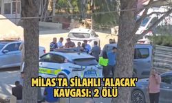 Milas'ta silahlı 'alacak' kavgası: 2 ölü