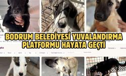 Bodrum Belediyesi Yuvalandırma Platformu hayata geçti
