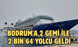 Bodrum'a 2 gemi ile 2 bin 64 yolcu geldi