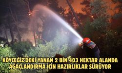 Köyceğiz'deki yanan 2 bin 403 hektar alanda ağaçlandırma için hazırlıklar sürüyor