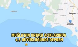 Muğla'nın Ortaca açıklarında 4.5 büyüklüğünde deprem