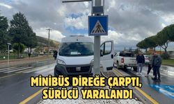 Minibüs direğe çarptı, sürücü yaralandı