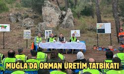 Muğla'da orman üretim tatbikatı