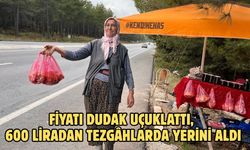 FİYATI DUDAK UÇUKLATTI, 600 LİRADAN TEZGÂHLARDA YERİNİ ALDI