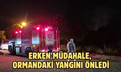 ERKEN MÜDAHALE, ORMANDAKİ YANGINI ÖNLEDİ