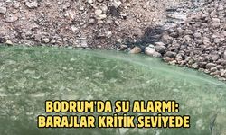 Bodrum'da su alarmı: Barajlar kritik seviyede