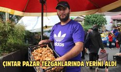 Çıntar pazar tezgahlarında yerini aldı