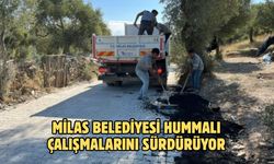 MİLAS BELEDİYESİ HUMMALI ÇALIŞMALARINI SÜRDÜRÜYOR