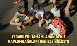 Tedavileri tamamlanan deniz kaplumbağaları denizle buluştu