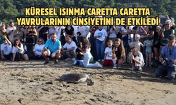 Küresel ısınma caretta caretta yavrularının cinsiyetini de etkiledi
