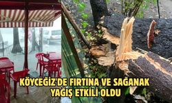 Köyceğiz'de fırtına ve sağanak yağış etkili oldu