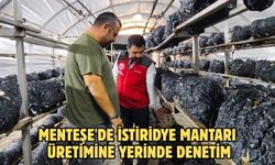 Menteşe'de istiridye mantarı üretimine yerinde denetim