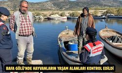 Bafa Gölü’nde hayvanların yaşam alanları kontrol edildi