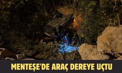 Menteşe'de araç dereye uçtu