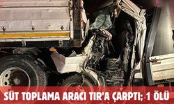 Süt toplama aracı TIR’a çarptı; 1 ölü