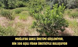 Muğla’da sakız üretimi güçleniyor, bin 500 aşılı fidan üreticiyle buluşuyor