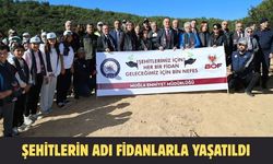 Şehitlerin adı fidanlarla yaşatıldı