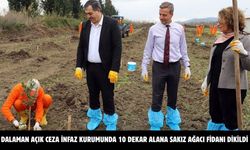 Dalaman Açık Ceza İnfaz Kurumunda 10 dekar alana Sakız ağacı fidanı dikildi