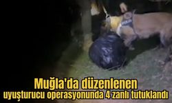 Muğla'da düzenlenen uyuşturucu operasyonunda 4 zanlı tutuklandı