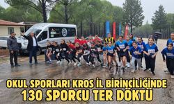 Okul sporları kros il birinciliğinde 130 sporcu ter döktü