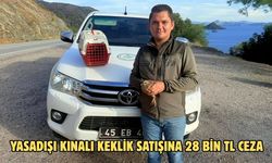Yasadışı Kınalı Keklik satışına 28 bin TL ceza