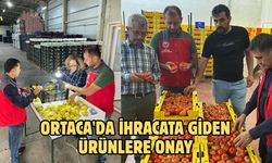 Ortaca'da ihracata giden ürünlere onay