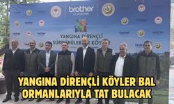Yangına dirençli köyler bal ormanlarıyla tat bulacak