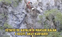 Fethiye'de kayalıkta mahsur kalan 4 keçiyi, AKUT kurtardı