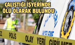Çalıştığı işyerinde ölü olarak bulundu